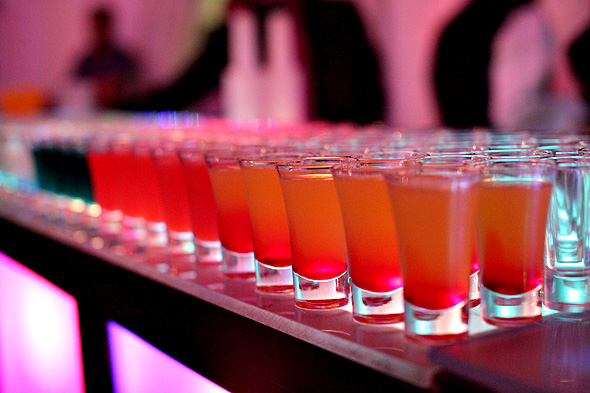 Hidden Jungle Mobile Bar
